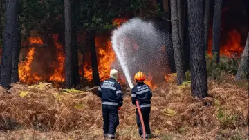 Zasłona do filmu "Sauvons nos Forêts" #1618248