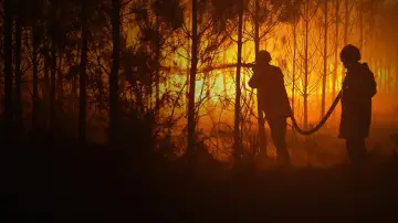 Zasłona do filmu "Sauvons nos Forêts" #1658093