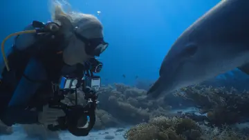 Dolphins: My Close Encounters plakat