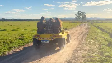 Zasłona do filmu "Com Amor, Beatriz" #1636670