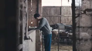 Zasłona do filmu "Ovella Negra" #1639691