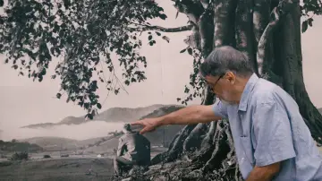 Zasłona do filmu "Tempos de Inocência" #1817547