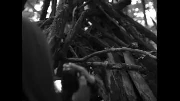 Zasłona do filmu "The Sadness of the World" #1647282