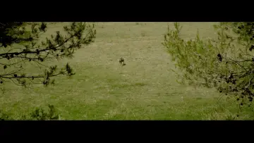 Zasłona do filmu "La Vida En Un Altre Lloc" #1663118