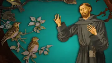 Zasłona do filmu "Franz von Assisi - Der Grenzgänger" #1756526