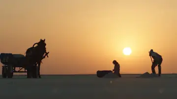 Zasłona do filmu "Toprağın Tuzu" #1890561