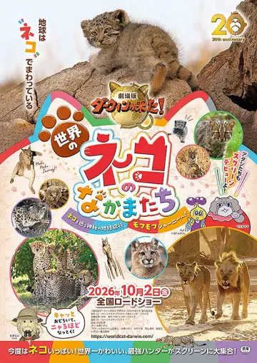 劇場版ダーウィンが来た！世界のネコのなかまたち plakat