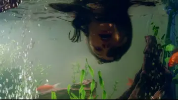 Zasłona do filmu "Oz Voyeurs" #1833646