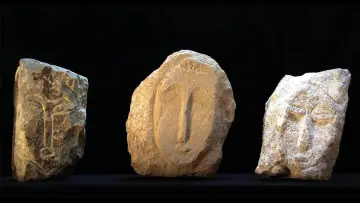 Zasłona do filmu "Il caso Modigliani" #1821877
