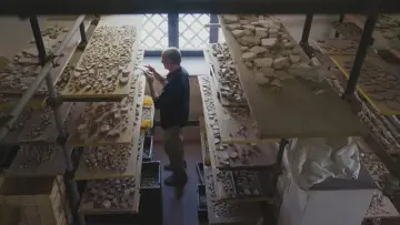 Zasłona do filmu "Le grand puzzle de Pompéi" #1828551