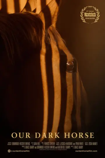 Our Dark Horse plakat