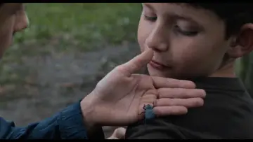 Zasłona do filmu "Come Home" #1904709