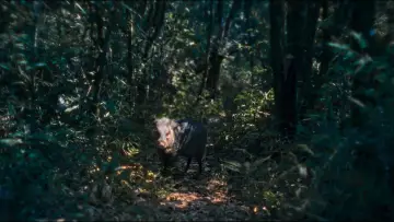Zasłona do filmu "Flecha para Um Coração de Pedra" #1890383