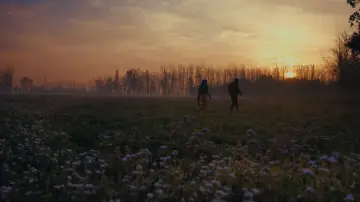 Zasłona do filmu "Kidney" #1864588