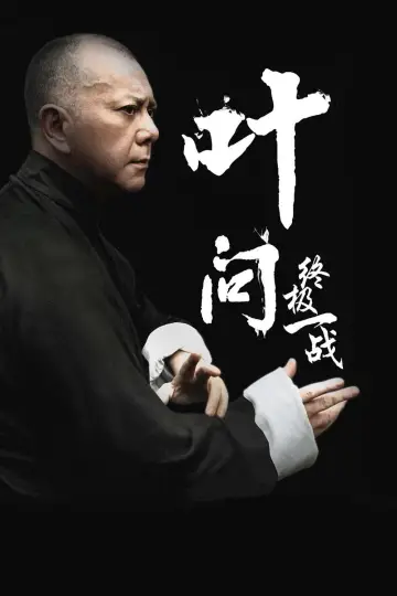 Plakat do filmu "Ip Man: Ostatnia Walka" #459050