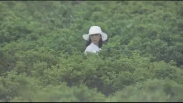 Zasłona do filmu "団鬼六　花嫁人形" #933991