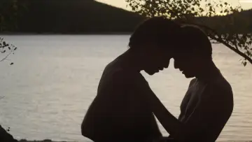 Zasłona do filmu "Nieznajomy nad jeziorem" #867679