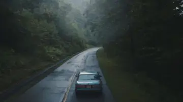 Zasłona do filmu "Blue Ruin" #262056