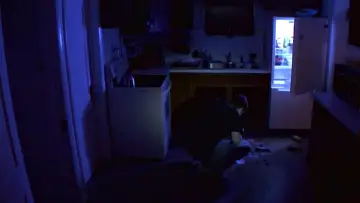 Zasłona do filmu "Don