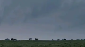 Zasłona do filmu "Olbrzym - samolub" #1068543