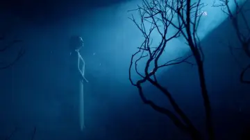 Zasłona do filmu "Birdman czyli (nieoczekiwane pożytki z niewiedzy)" #590359