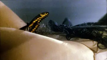 Zasłona do filmu "Cérémonie d