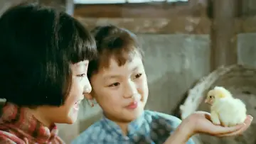 Zasłona do filmu "城南旧事" #482937