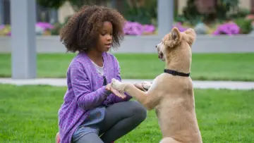 Zasłona do filmu "Annie" #295411