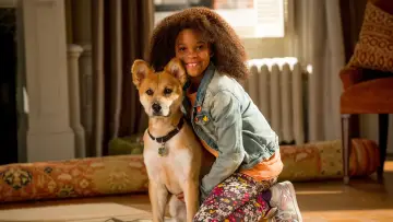 Zasłona do filmu "Annie" #444641