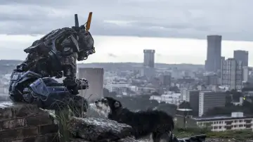 Zasłona do filmu "Chappie" #263747
