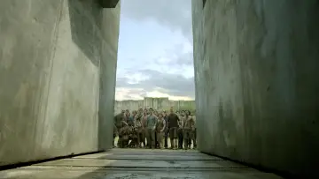 Zasłona do filmu "Więzień labiryntu" #1642438