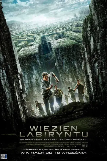 Plakat do filmu "Więzień labiryntu" #551524