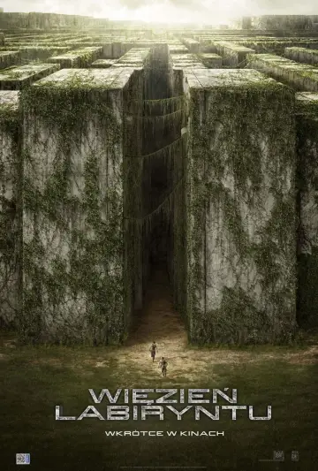 Plakat do filmu "Więzień labiryntu" #551531