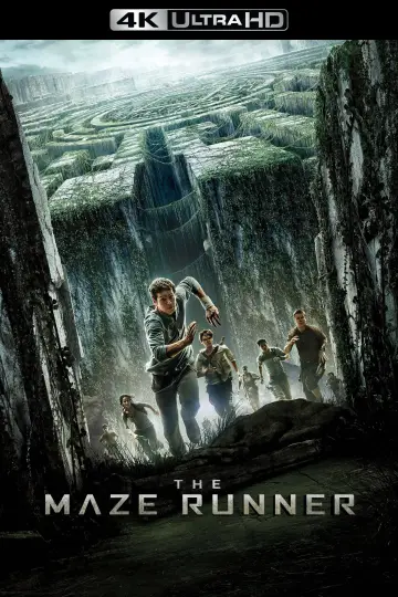 Plakat do filmu "Więzień labiryntu" #551537