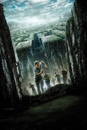 Plakat do filmu "Więzień labiryntu" #551544