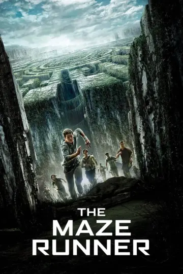 Plakat do filmu "Więzień labiryntu" #7906