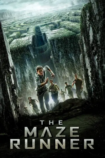 Plakat do filmu "Więzień labiryntu" #7911
