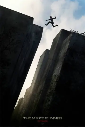 Plakat do filmu "Więzień labiryntu" #7918