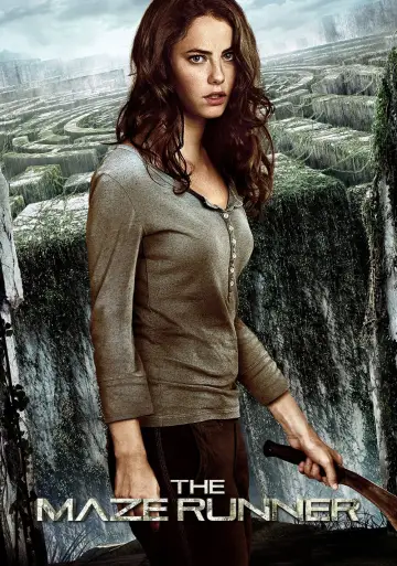 Plakat do filmu "Więzień labiryntu" #7924
