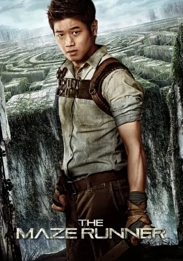 Plakat do filmu "Więzień labiryntu" #7926
