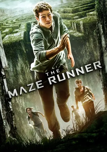 Plakat do filmu "Więzień labiryntu" #7927