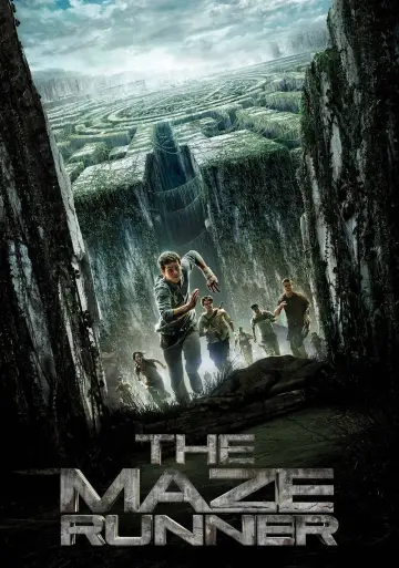 Plakat do filmu "Więzień labiryntu" #7928