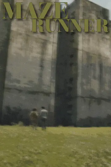 Plakat do filmu "Więzień labiryntu" #911549