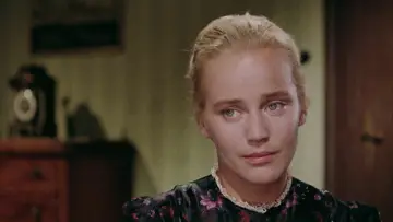 Zasłona do filmu "Rose Bernd" #681111