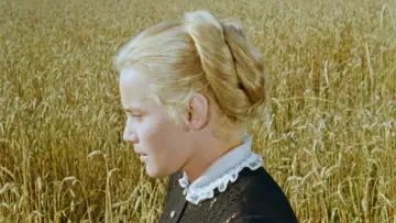 Zasłona do filmu "Rose Bernd" #681125