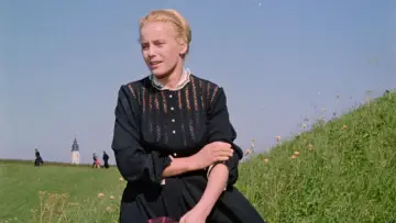 Zasłona do filmu "Rose Bernd" #681127