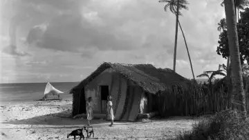 Zasłona do filmu "O Canto do Mar" #1702525
