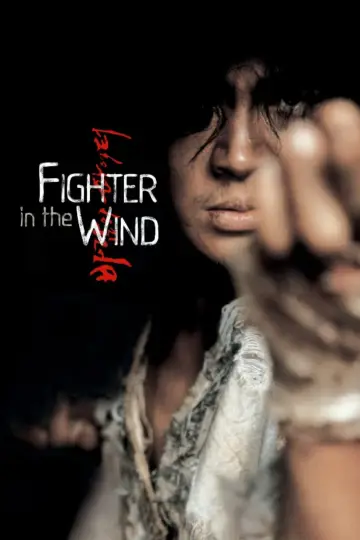 Fighter In The Wind