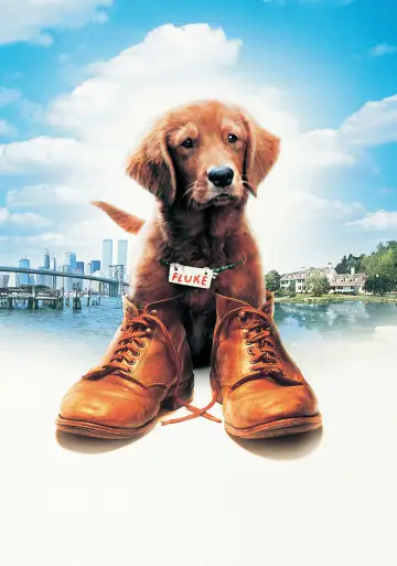 Plakat do filmu "Psim tropem do domu" #1065346
