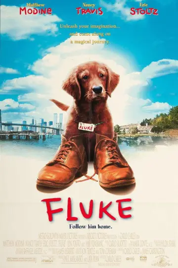 Plakat do filmu "Psim tropem do domu" #1065349